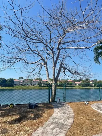 12010 SW 135th Terrace Miami FL 33186