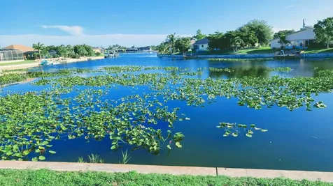 501 SE 7th Street Cape Coral FL 33990