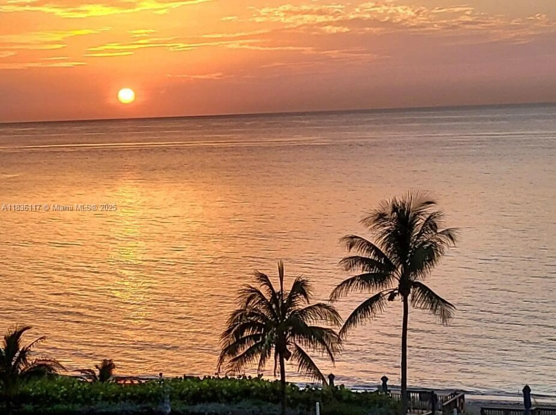 1147 Hillsboro Mile Hillsboro Beach FL 33062