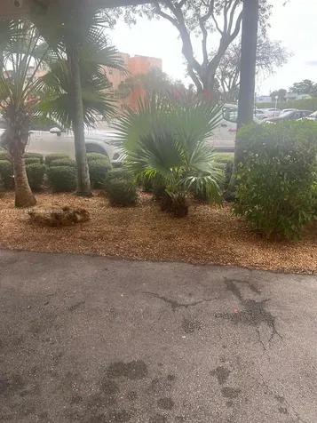 500 Executive Center Drive West Palm Beach FL 33401