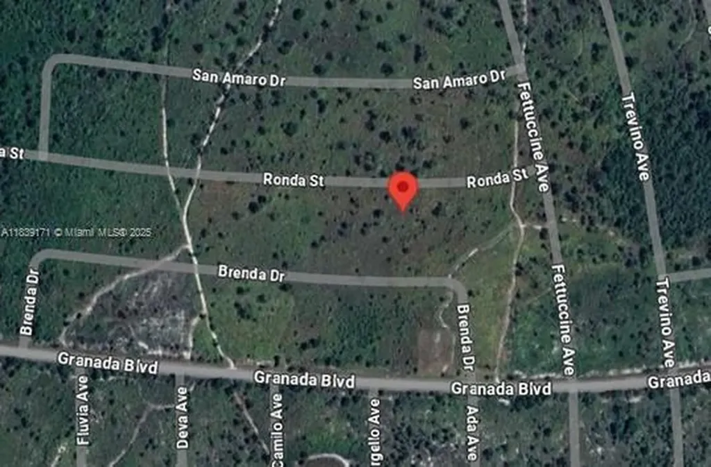 7811 Ronda Street Sebring FL 33872