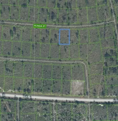 7811 Ronda Street Sebring FL 33872