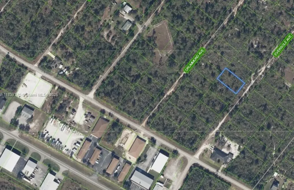 120 Eversole Avenue Lake Placid FL 33862