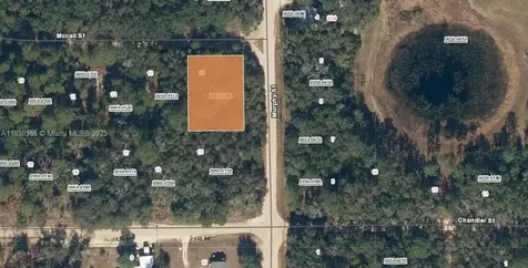 0 Mccall Street Other City - In The State Of Florida FL 32148
