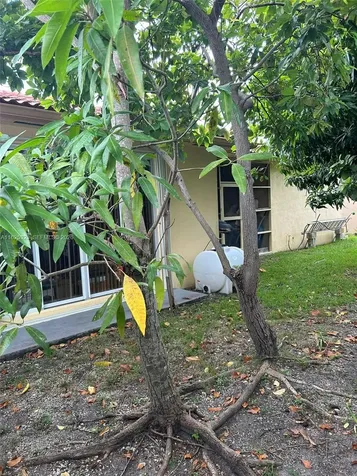 12414 SW 213th Street Miami FL 33177