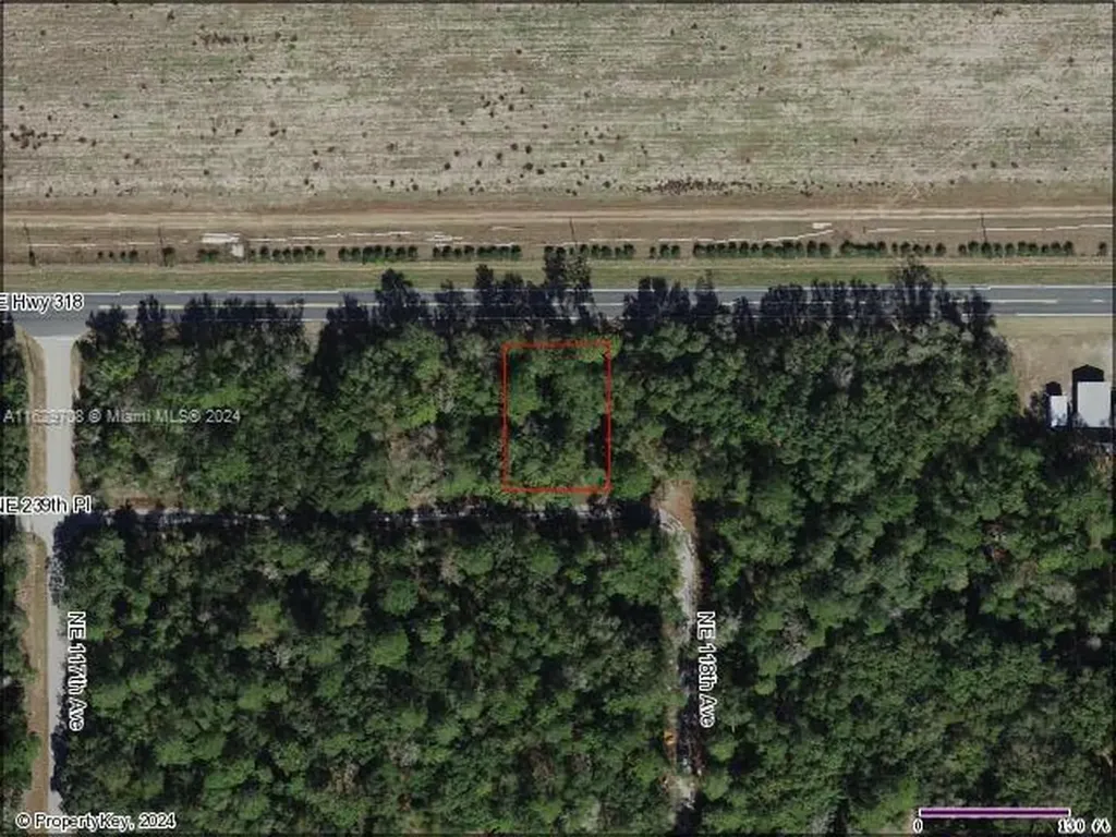 Undetermined Orange Springs Other City - In The State Of Florida FL 32182