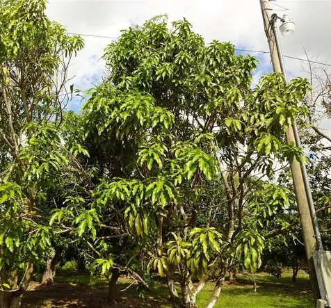 27001 SW 187th Avenue Homestead FL 33031