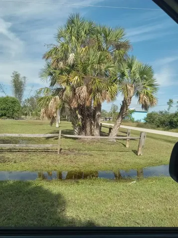 215 Glenholm Avenue Other City - In The State Of Florida FL 33950