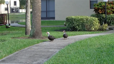 6085 N Sabal Palm Boulevard Tamarac FL 33319