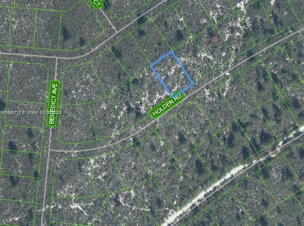 6552 Holden Road Sebring FL 33872