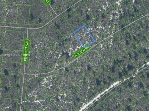 6552 Holden Road Sebring FL 33872