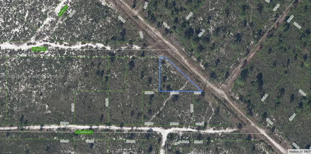 536 Nevada Avenue Lake Placid FL 33852