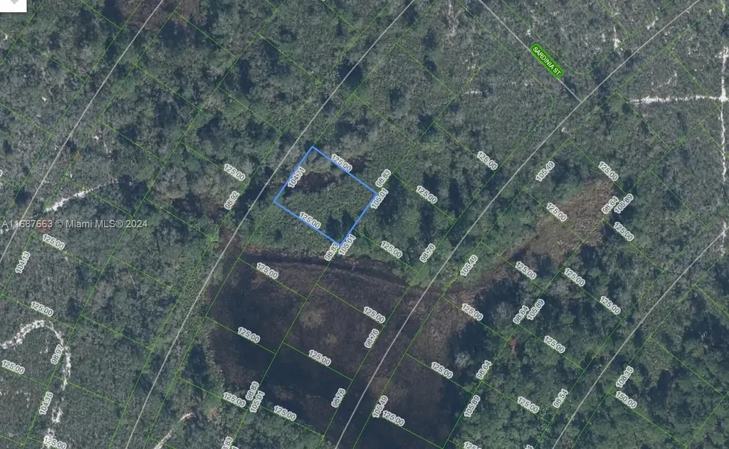 6625 San Benito Drive Sebring FL 33872