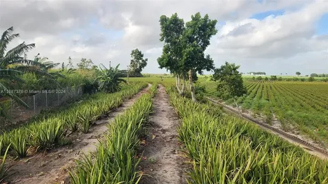 47430 State Road #80 Palm Beach FL 33440
