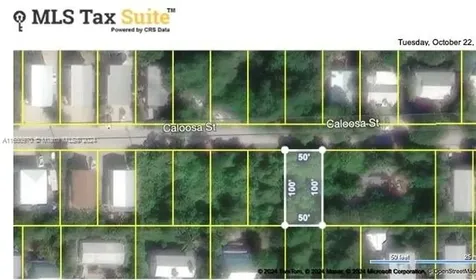 Lot 32 Caloosa Street Sugarloaf FL 33042