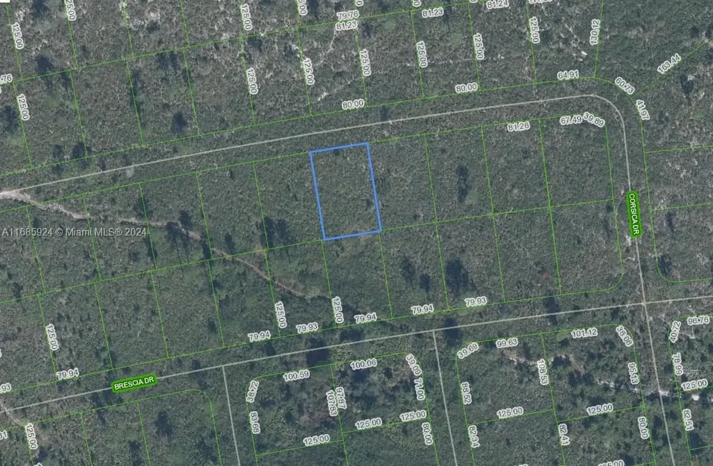 5032 Corsica Drive Sebring FL 33872