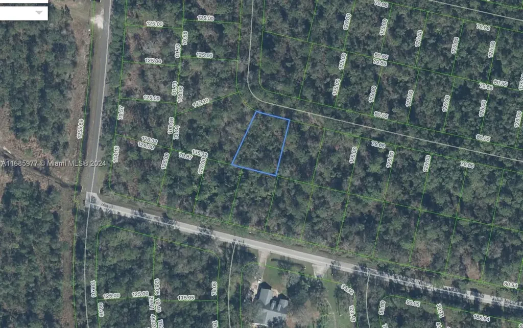 8739 Alacante Drive Sebring FL 33872