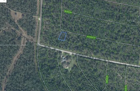 8739 Alacante Drive Sebring FL 33872