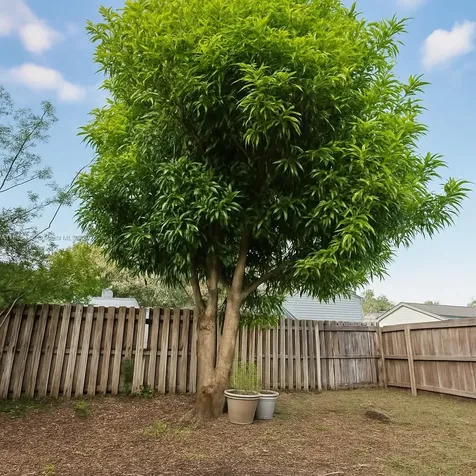 8615 SW 15th Street Pembroke Pines FL 33025