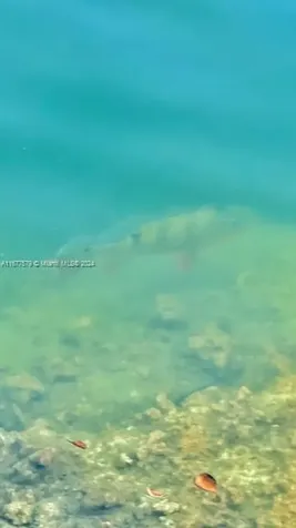 1636 NE 18th Avenue Fort Lauderdale FL 33305