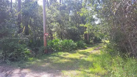 Undetermined NE 42nd Street Ocala FL 34488