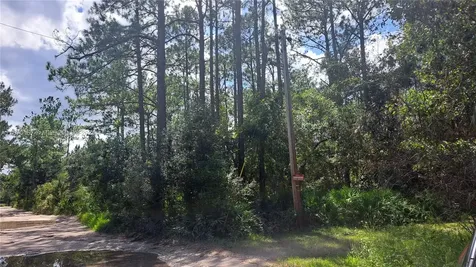 Undetermined NE 42nd Street Ocala FL 34488