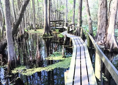1507 Lindberg Avenue Lake Placid FL 33872