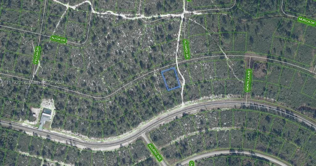 7651 Rosebud Drive Sebring FL 33872