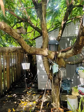 14795 SW 97th Terrace Miami FL 33196