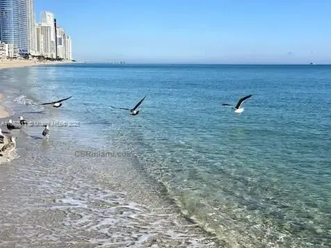 17550 Collins Avenue Sunny Isles Beach FL 33160