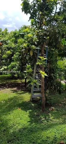 157TH Court SW 65th Terrace Miami FL 33193