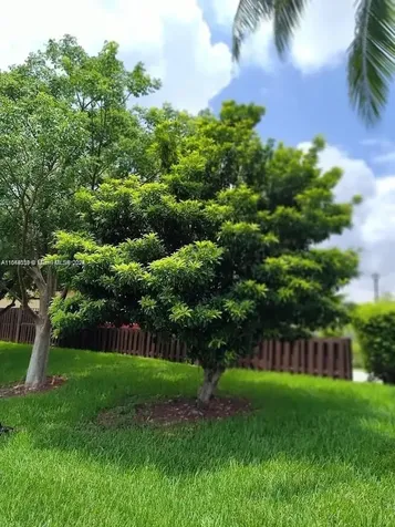 157TH Court SW 65th Terrace Miami FL 33193