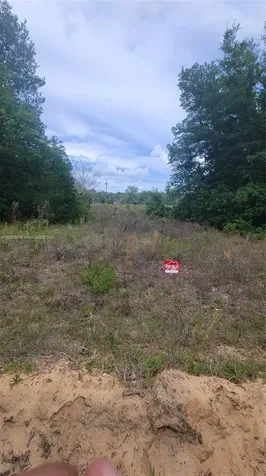 0 Lenore Avenue Palatka FL 32148