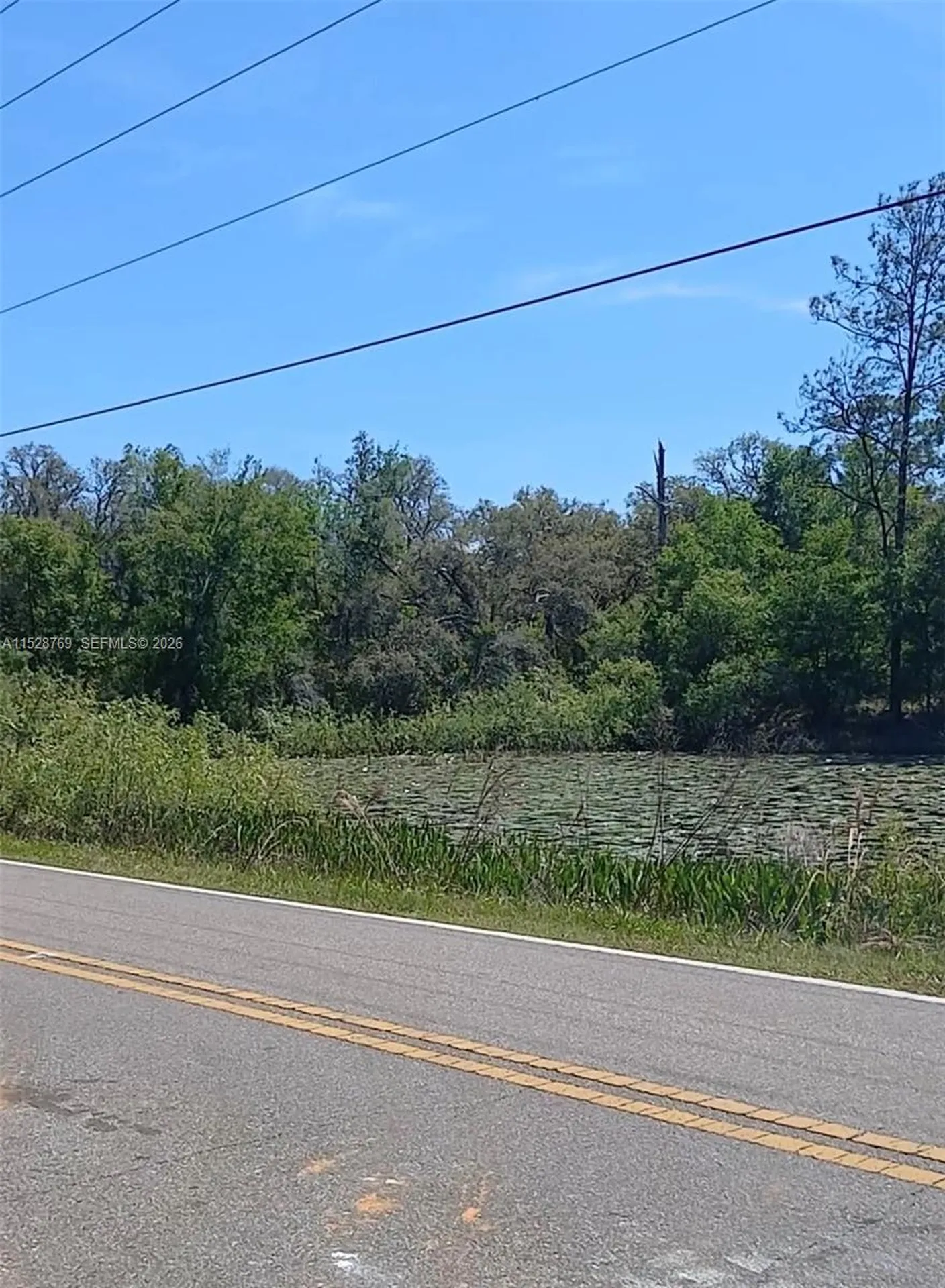 0 Richardson Boulevard Other City - In The State Of Florida FL 33597