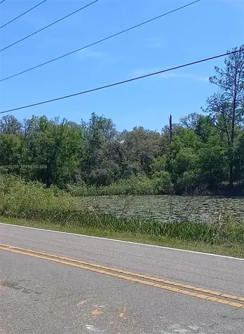 0 Richardson Boulevard Other City - In The State Of Florida FL 33597