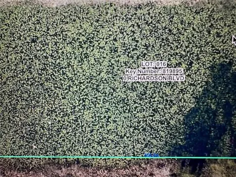 0 Richardson Boulevard Other City - In The State Of Florida FL 33597
