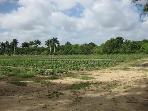 19922 SW 304th Street Homestead FL 33030