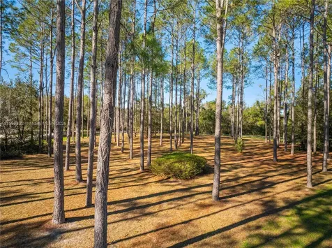 19010 SW 21 Place Other City - In The State Of Florida FL 32669