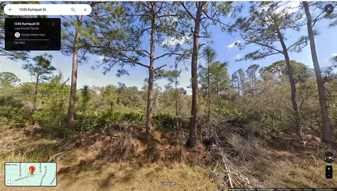 1245 Kumquat Street Lake Placid FL 33852