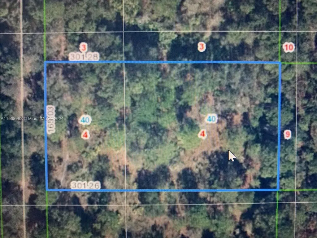 1939 S Griese Road Avon Park FL 33825