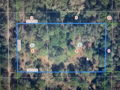 1939 S Griese Road Avon Park FL 33825