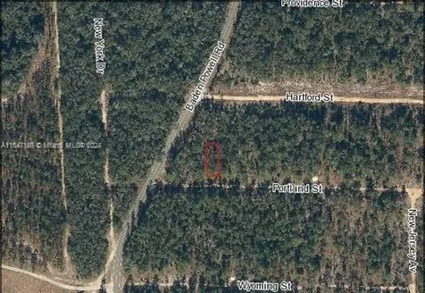 338 Portland Street Other City - In The State Of Florida FL 32640