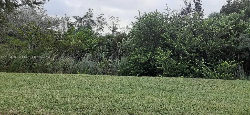 Other City - In The State Of Florida FL 34972