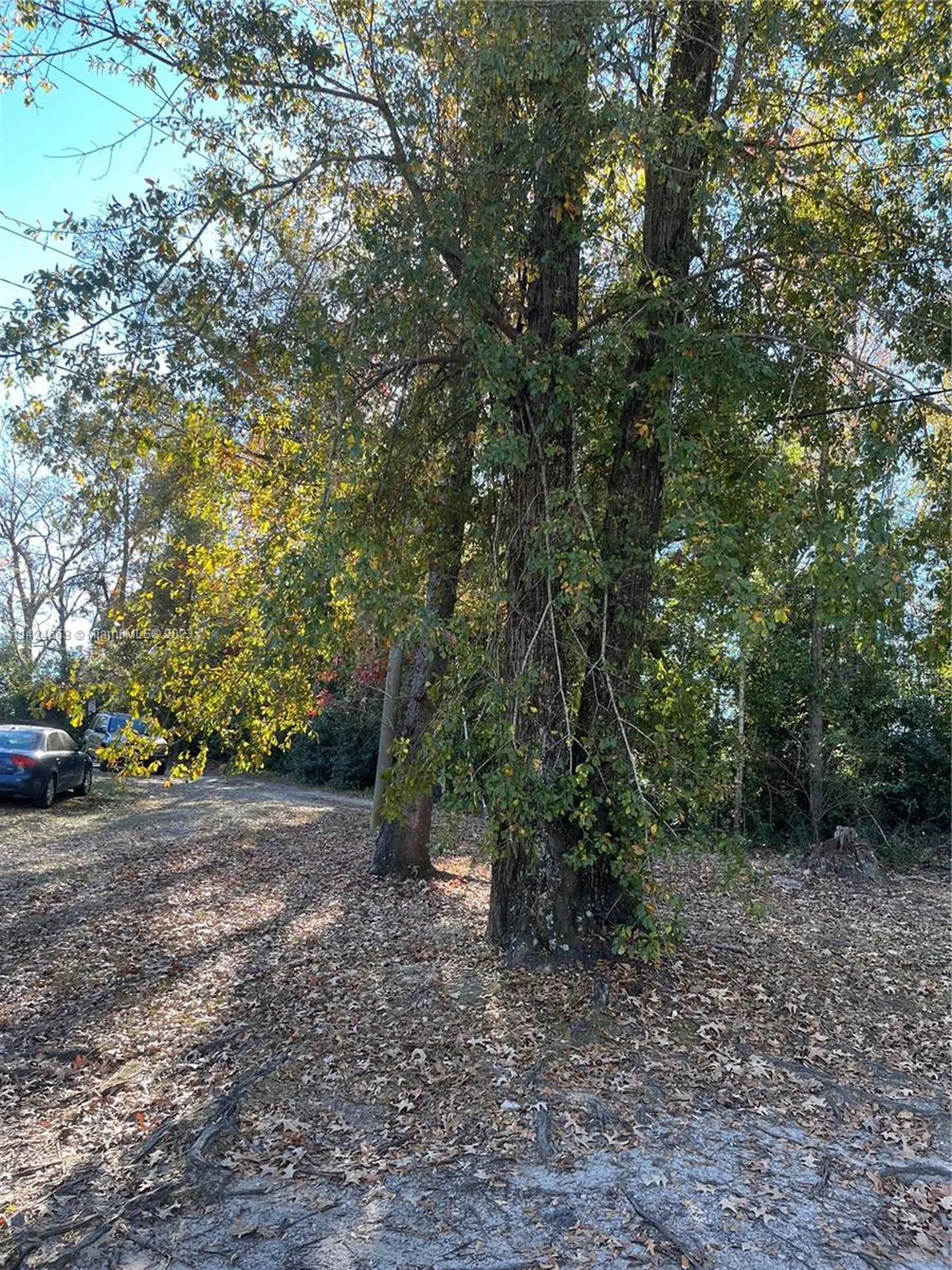 1316 Carrol Street Other City - In The State Of Florida FL 32324