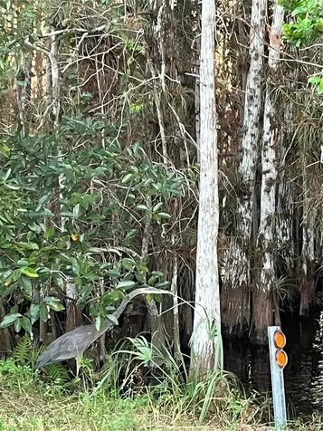 1316 Carrol Street Other City - In The State Of Florida FL 32324