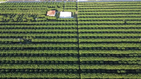 33300 SW 202nd Avenue Homestead FL 33034