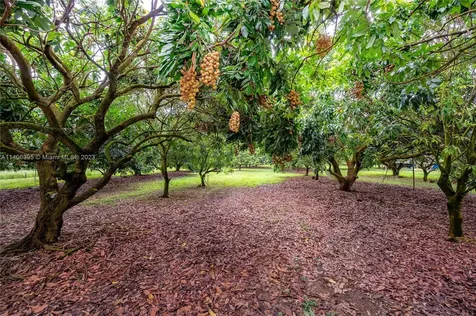 24350 SW 182nd Avenue Miami FL 33031