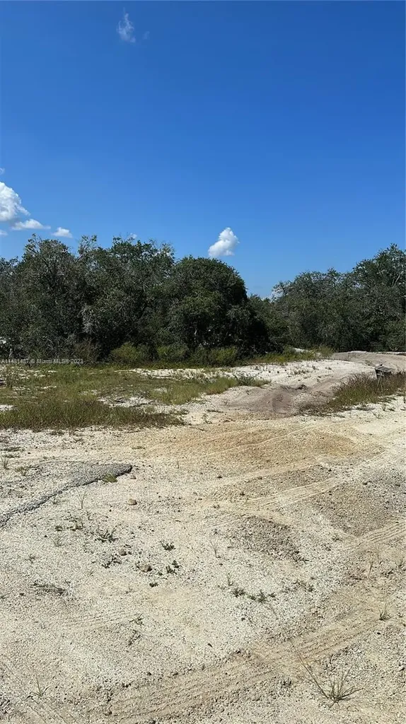 412 Eleanor Boulevard Lake Placid FL 33852