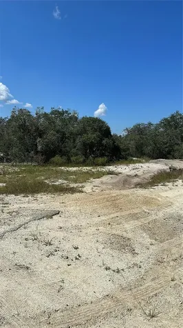 412 Eleanor Boulevard Lake Placid FL 33852