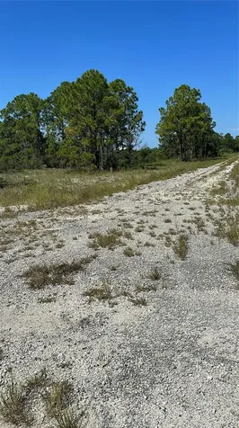 341 Moon River Avenue Lake Placid FL 33852